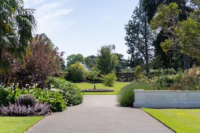 rumman-amin-K4AtyEl5imA-unsplash